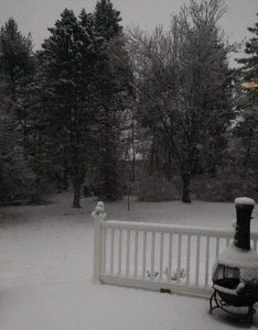 Picture of a snowed backyard with a forest and fence